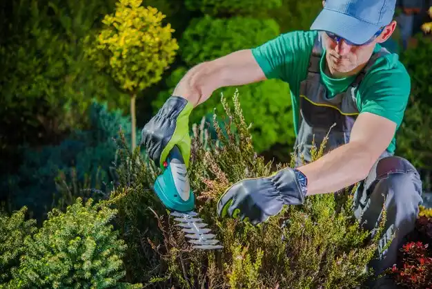 landscaping services South Webster